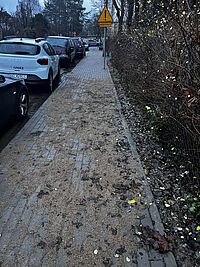 Artykuł: Nowy odcinek chodnika gotowy dla mieszkańców