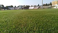 Artykuł: 30 milionów złotych z Polskiego Ładu na nową inwestycję sportową w Olsztynie