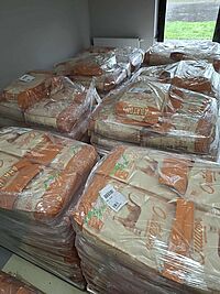 Artykuł: Karma dla kotów wolno żyjących dostępna w schronisku od 7 listopada