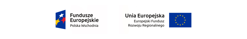 Loga unijne
