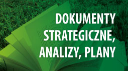 W tle grafiki widać książkę, na pierwszym planie napis: Dokumenty strategiczne, analizy, plany