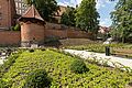 Ogród wirydarzowy przy katedralnych murach