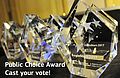 Public Choice Award