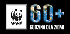 Logo Godzina Dla Ziemi